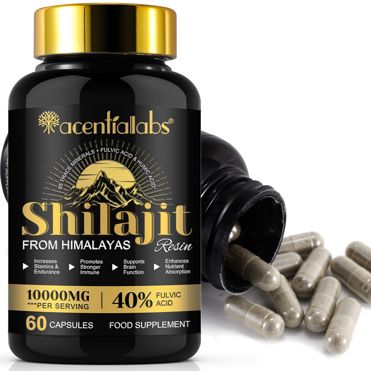 Himalayan Shilajit Resin – 60 Capsules