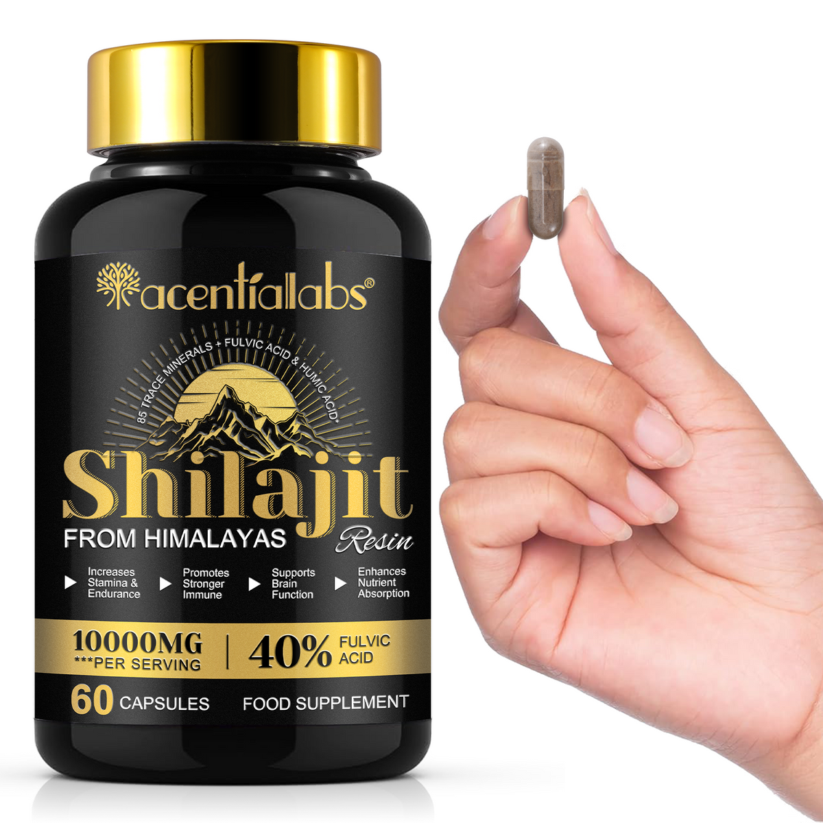 Himalayan Shilajit Resin – 60 Capsules