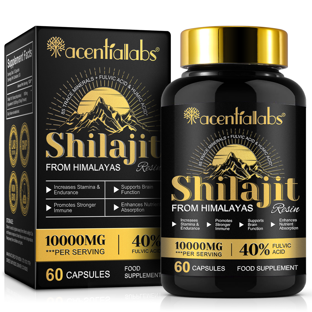 Himalayan Shilajit Resin – 60 Capsules
