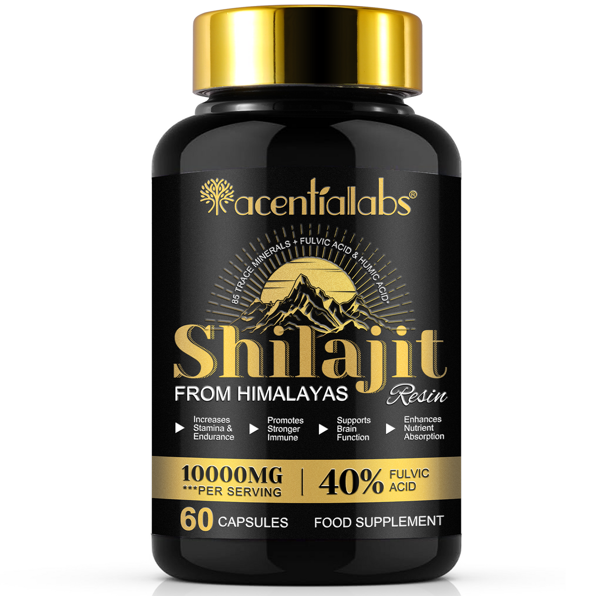 Himalayan Shilajit Resin – 60 Capsules