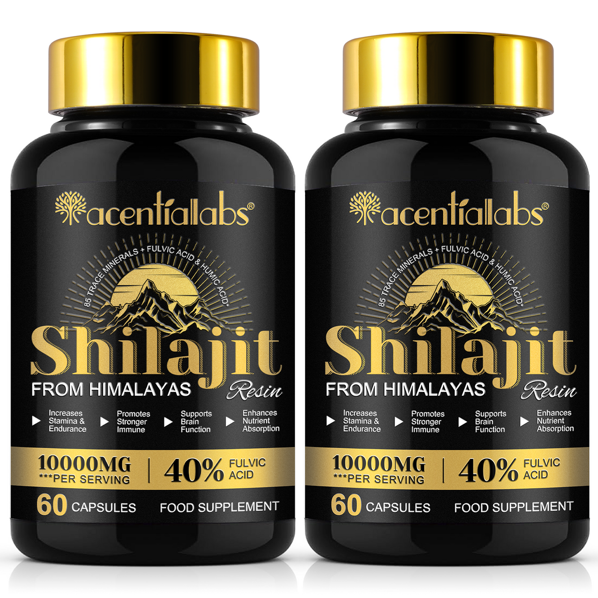 Himalayan Shilajit Resin – 60 Capsules