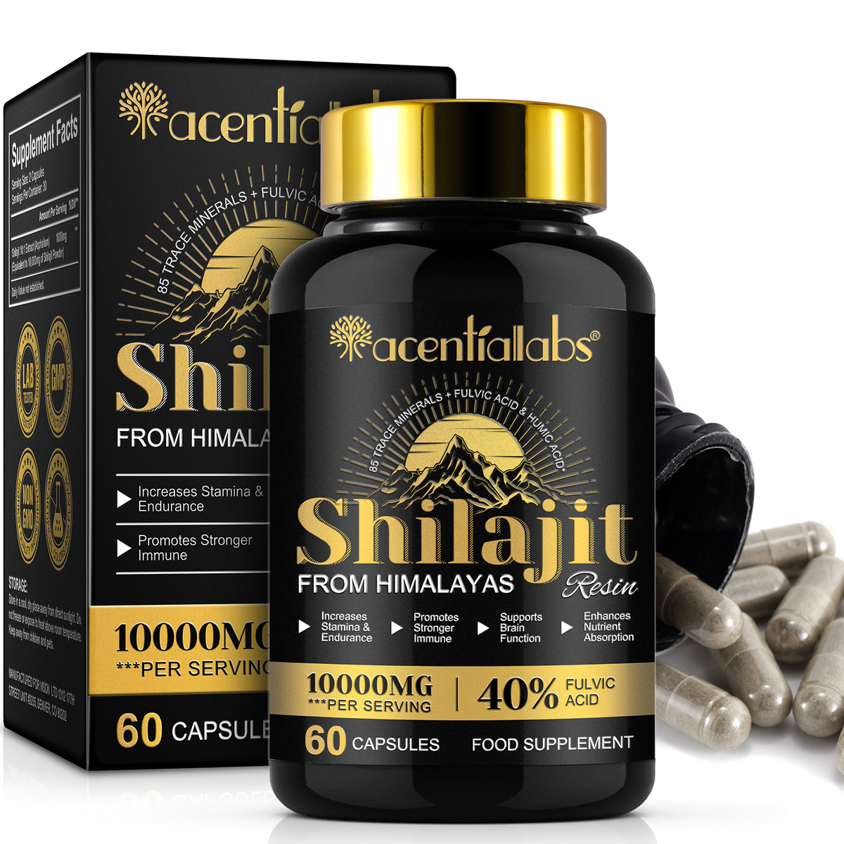 Himalayan Shilajit Resin – 60 Capsules